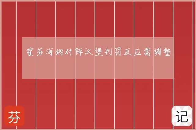 霍芬海姆对阵汉堡判罚反应需调整